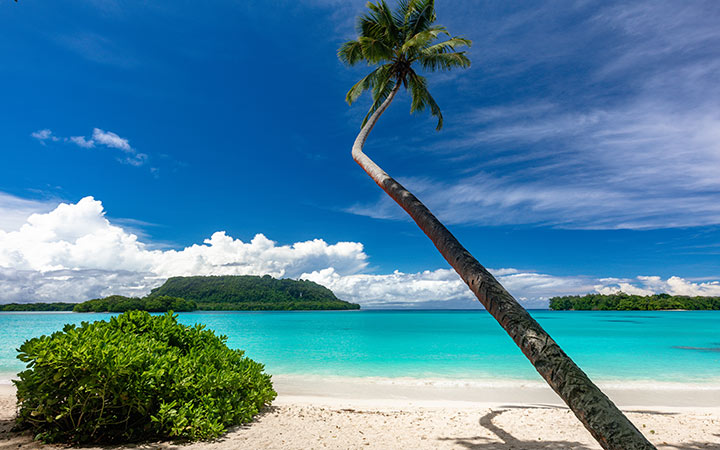 Vanuatu (Ile Espiritu Santo)