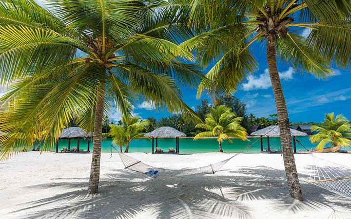 Vanuatu (Ile Espiritu Santo)