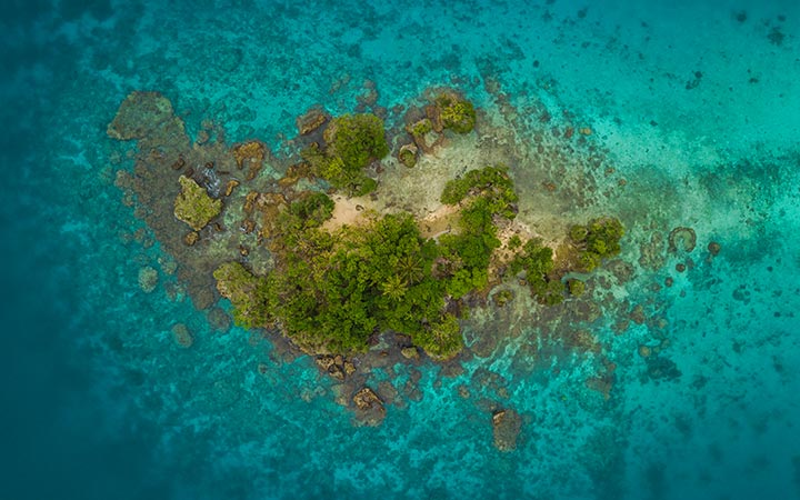 Vanuatu (Ile Espiritu Santo)