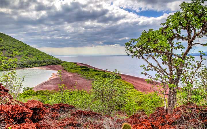 Iles Galapagos ( Ile Rabida)