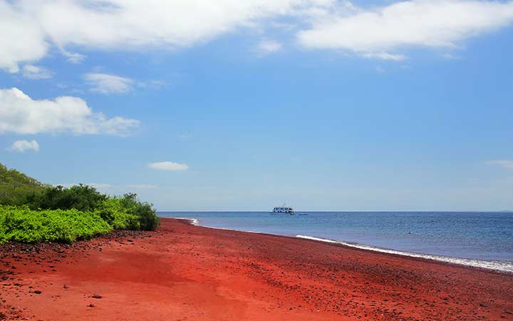 Iles Galapagos ( Ile Rabida)