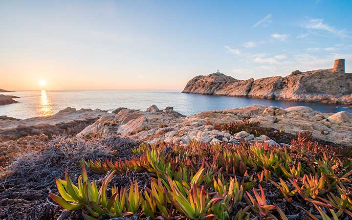 L'ILE ROUSSE