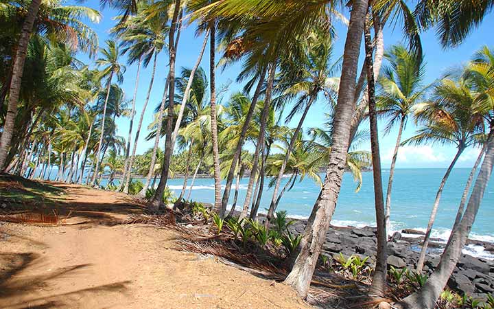 Guyane Française (Ile Royal)