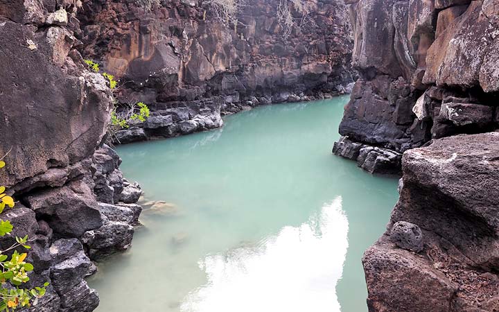 Iles Galapagos (Ile Seymour Nord)