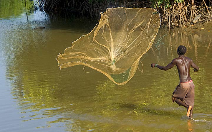 Guinée-Bissau (Ile d'Orango)
