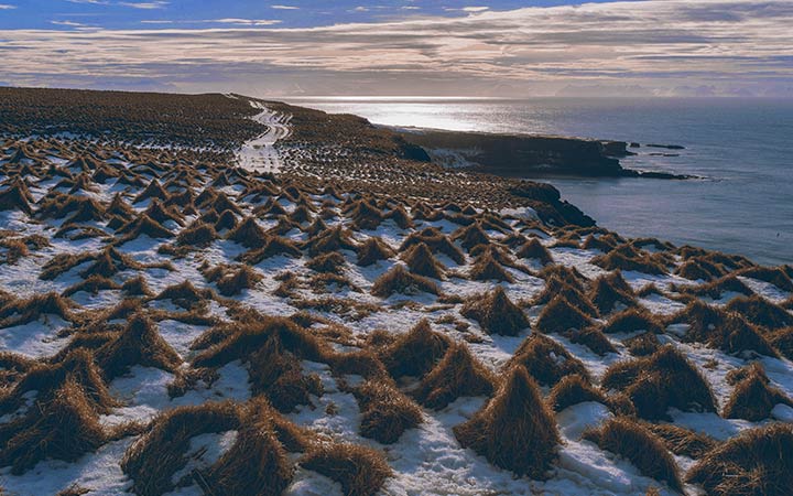 Islande (Ile de Grimsey)