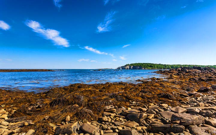 Angleterre (Ile de Portland)