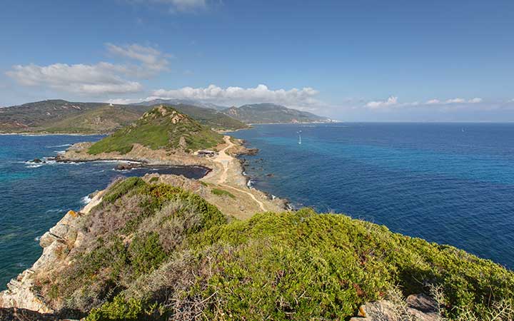 Corse (Iles Sanguinaires)