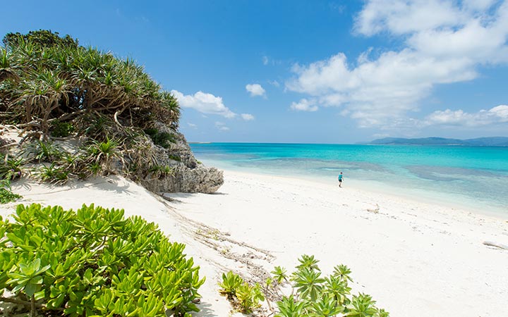 Japon (Iriomotejima)