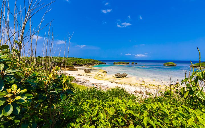 Japon (Iriomotejima)