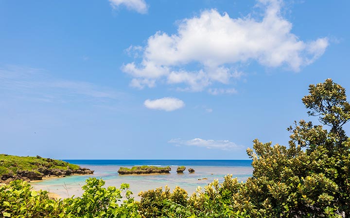 Japon (Iriomotejima)