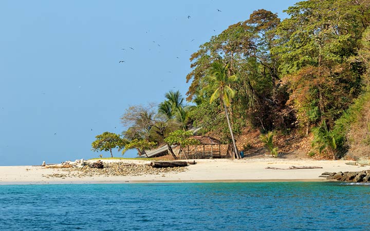 Panama (Isla Pacheca)