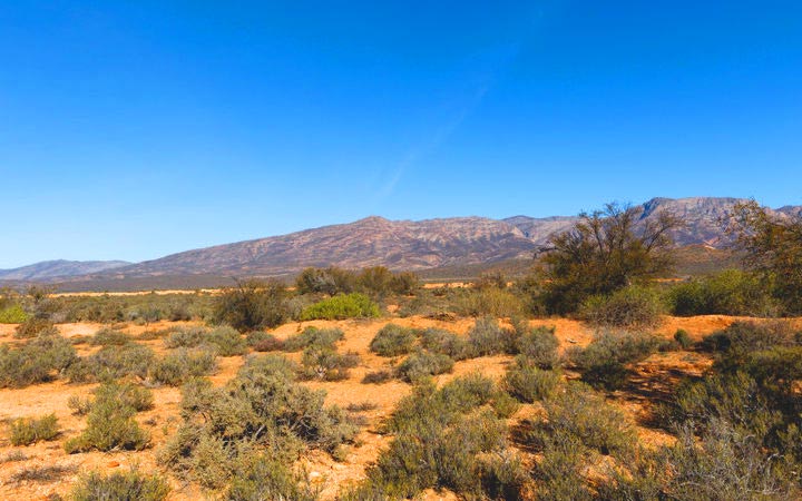 Johannesburg (Afrique du Sud)