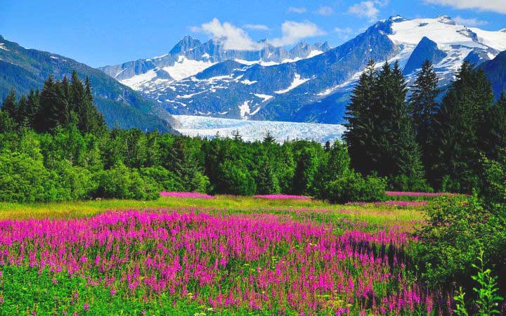 Alaska (Juneau)