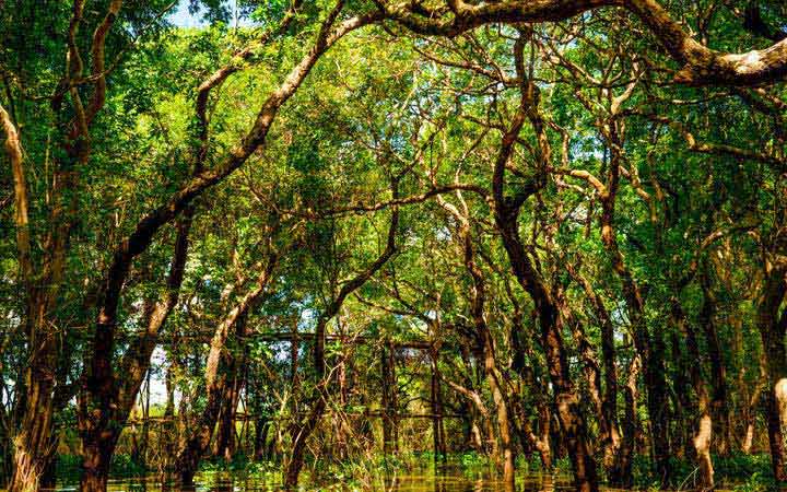 KAMPONG TRALACH - KOH CHEN - PHNOM PENH