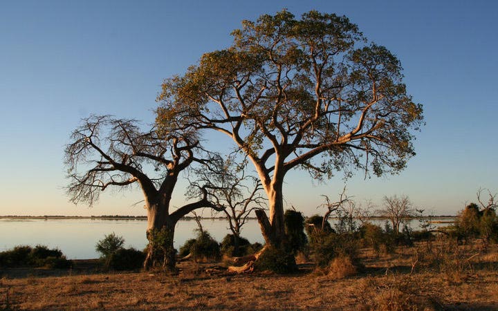 Kasane (Botswana)