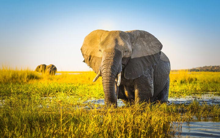 Kasane (Botswana)