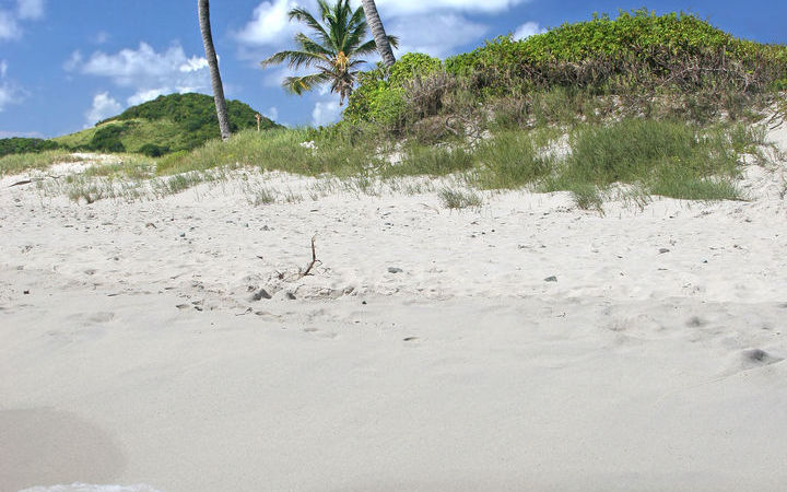 St Vincent et les Grenadines (Kingstown)