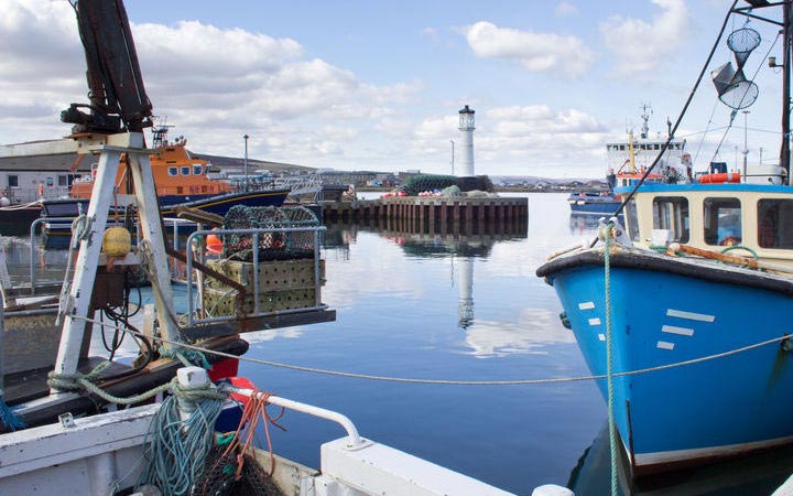 Ecosse (Kirkwall)