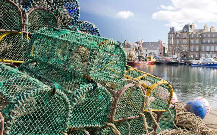 Ecosse (Kirkwall)