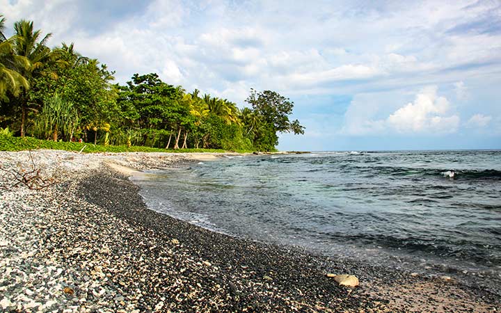 Papouasie-Nouvelle-Guinée (Kopar)