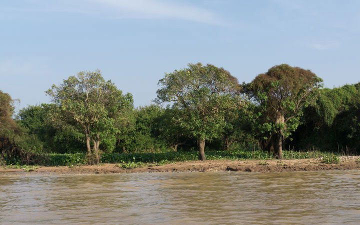Siem Reap - Angkor