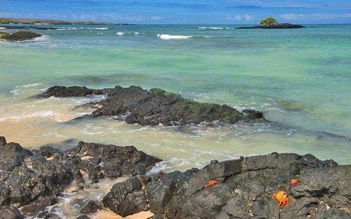 Iles Galapagos (Las Bachas)
