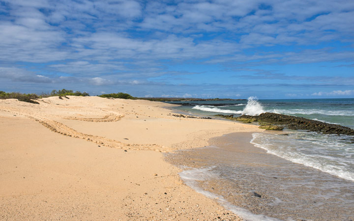Iles Galapagos (Las Bachas)