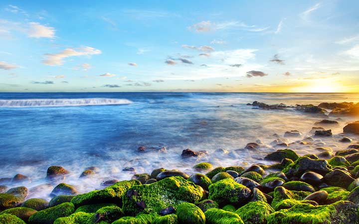 La Réunion (Le Port)