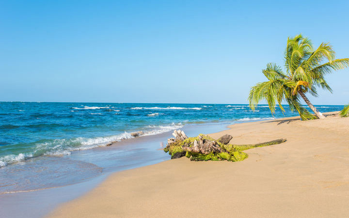 Costa Rica (Limon)