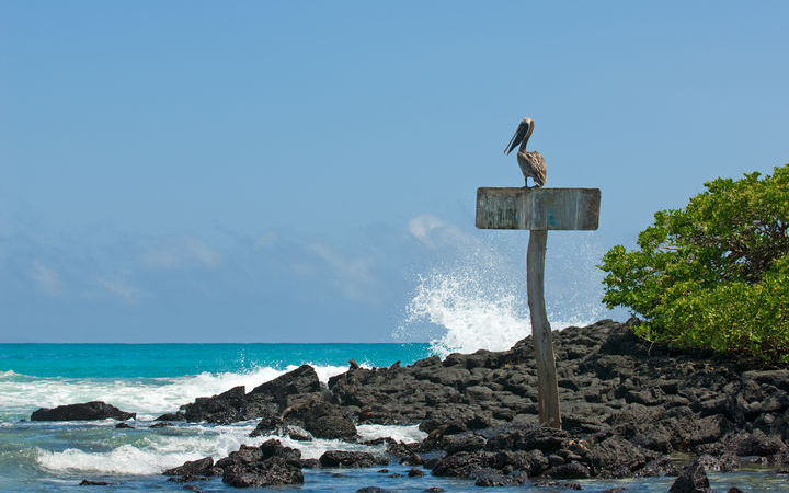 Australie (Lizard Island)