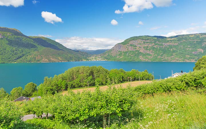 Norvège (Lustrafjord)