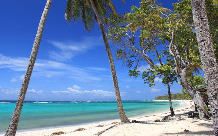 Guadeloupe (Marie Galante)