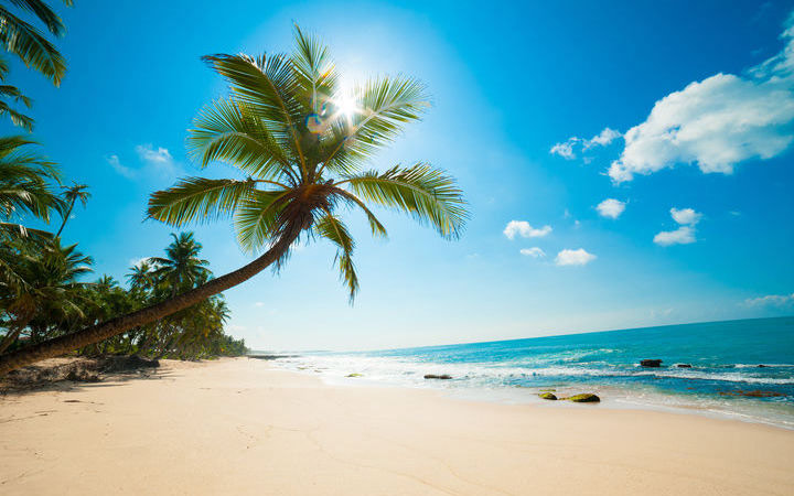Vanuatu (Mystery Island)