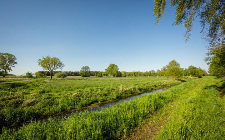 Allemagne (Nienburg-Weser)