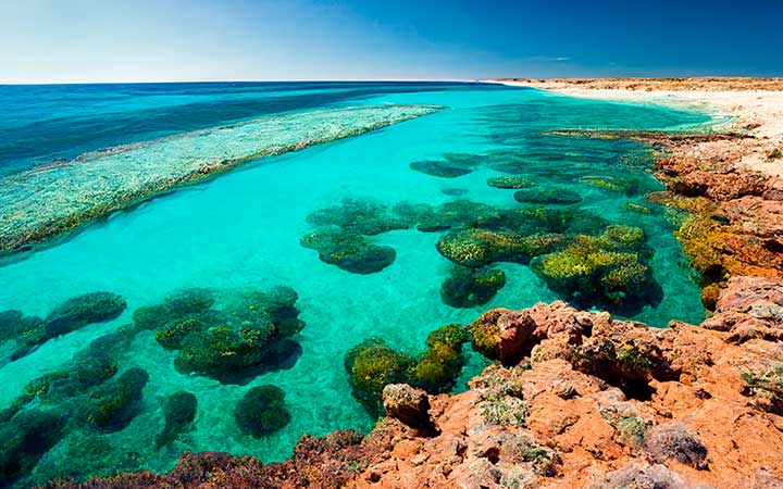 Australie (Ningaloo)