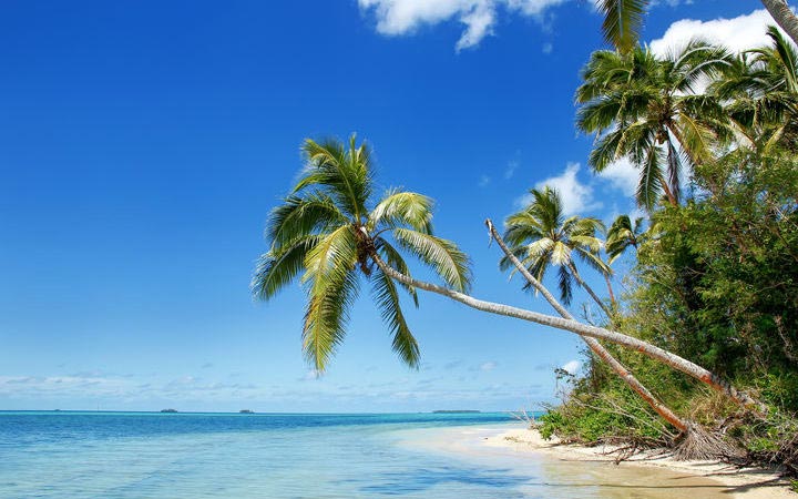 Iles Tonga (Nuku Alofa)