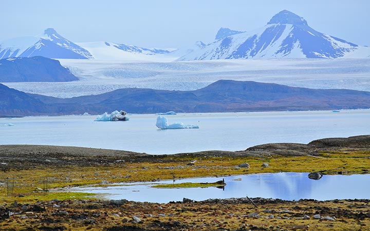 Spitzberg (Ny Alesund)