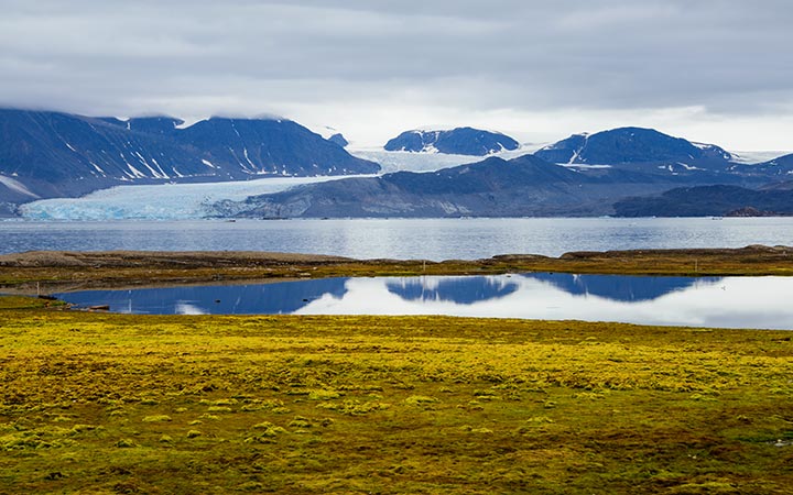 Spitzberg (Ny Alesund)