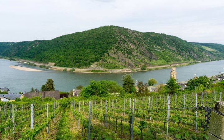 STRASBOURG - OBERWESEL - BINGEN - RÜDESHEIM