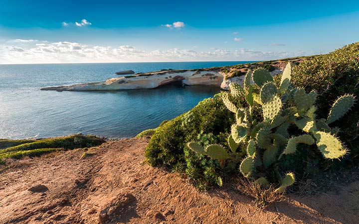 Sardaigne (Oristano)