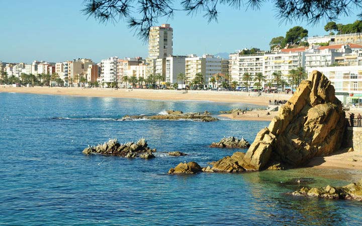 PALAMOS - ROSES