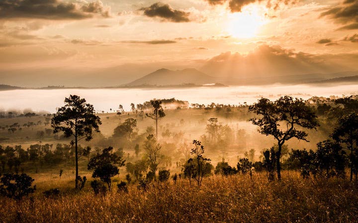 Johannesburg - Kasane - Installation au lodge (Afrique du Sud-Botswana-Namibie)