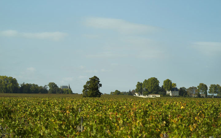 Pauillac (FR)