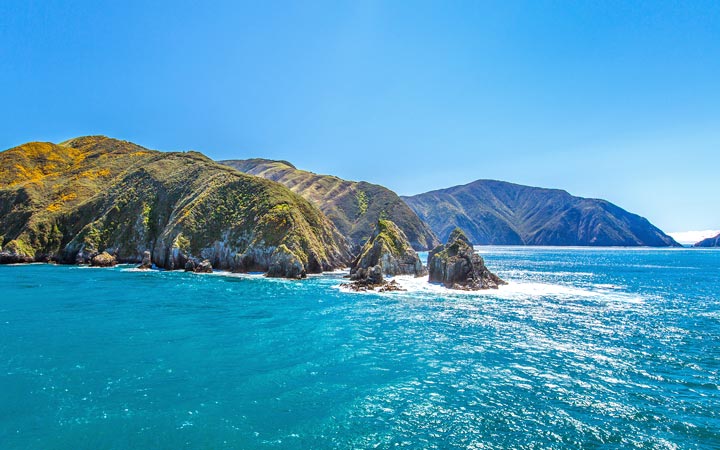 Nouvelle-Zélande (Picton)