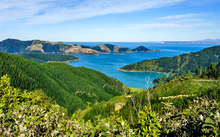 Nouvelle-Zélande (Picton)