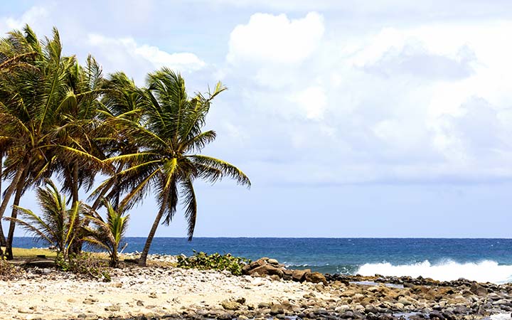 Ste Lucie (Pigeon Point)