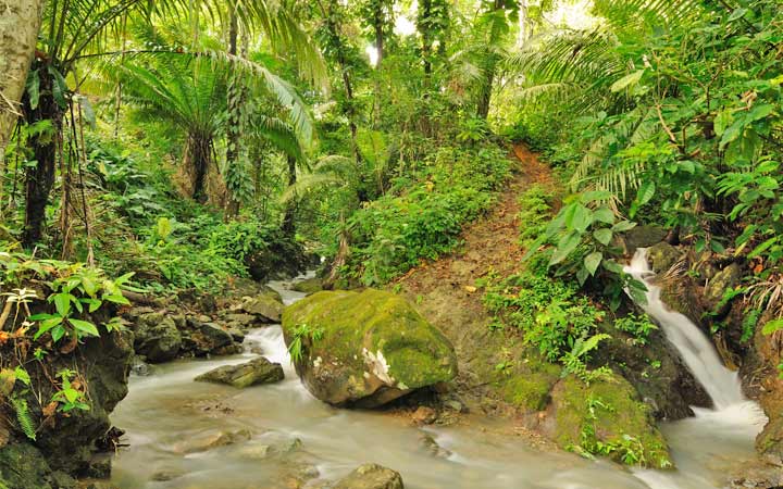 Panama (Playa Muerto)