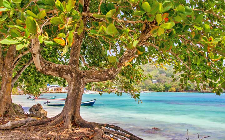 Panama (Playa Muerto)