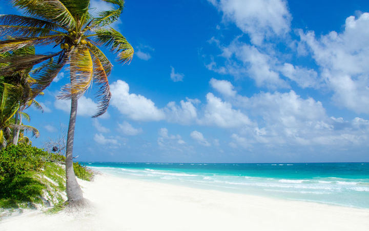 Mexique (Playa del Carmen)